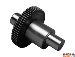 Шестерня большая для окрасочного аппарата ASPRO-1900