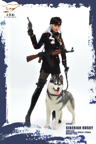 Сибирская хаски (серая) - Коллекционная ФИГУРКА 1/6 scale Husky (QYC003D) - QuanYingCun