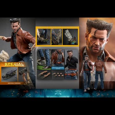 ПОСЛЕ ОБЗОРА - Росомаха, Логан (Хью Джекман, "Люди Икс: Дни минувшего будущего") - КОЛЛЕКЦИОННАЯ ФИГУРКА 1/6 WOLVERINE (1973 VERSION) (MMS660) - Hot Toys