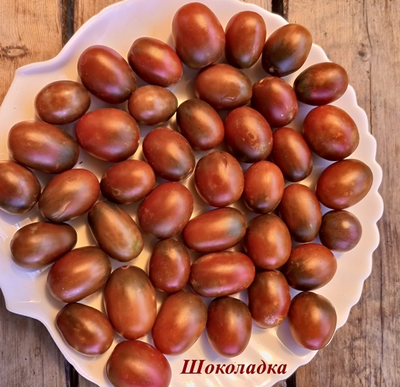 Томат Шоколадка