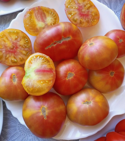 Томат Коралловая королева (Coral Queen)