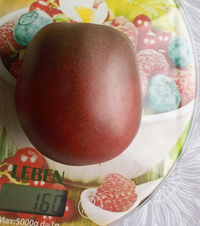 Томат Роксана