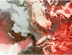 Купить обогреватель-картину Пустынная роза-2