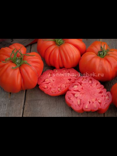 Томат Rim (Рим), 10 шт