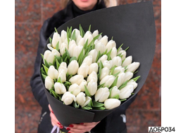 Букет из 45 белых тюльпанов «Лучистый»