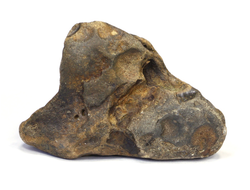 Кремень, необработанный "дикий" образец, Россия (61*46*32 мм, 80 г) №17550