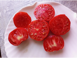 Томат Эль-Амар (El-Amar)