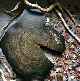мореный дуб, мебель из дуба, редкая древесина, мебель на заказ, стол, столик, слэб мореного дуба.