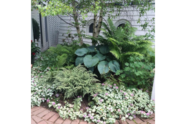 ГОТОВЫЕ РЕШЕНИЯ ПОД ВАШ ЗАПРОС (в стоимость входят растения!)