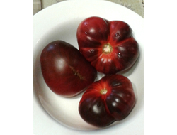 Семена томата Синий Том