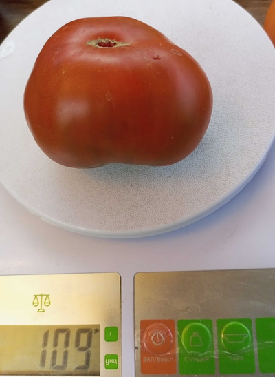 Томат Шоколадный Генри