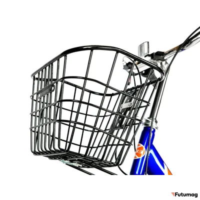 Электровелосипед трицикл РВЗ Чемпион (RVZ-HZ-01) черный