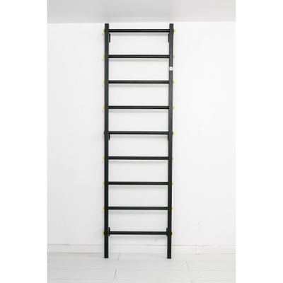 Шведская стенка Ferrum Force F купить в Воронеже