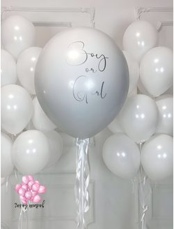 Сет 8 для определения пола малыша гендерная вечеринка