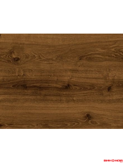 Рябина южная 33 класс