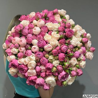 Пионовидные розы, словно зефир - Розовый туман фото1