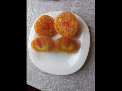 Томат Полосатые конфеты Уолтера (Walter’s Candy Stripes)