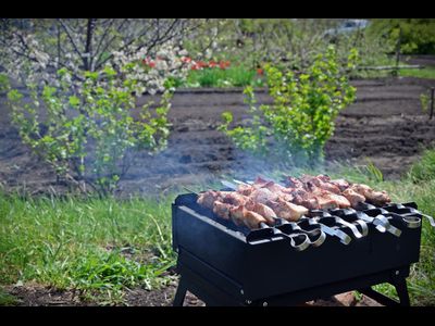 Мангал "Печенег"