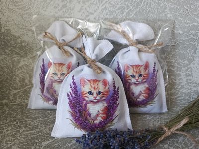Саше "Лаванда " котёнок