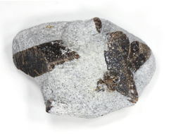 Ставролит, сросток кристаллов "косой крест" на сланце, Россия, Кольский п-ов (55*41*19 мм, 50 г) №26083