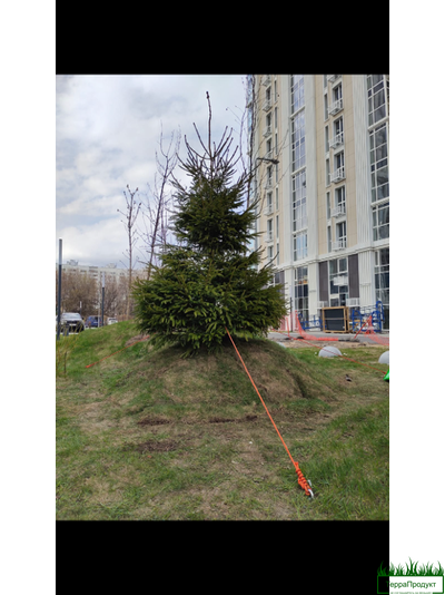 Анкер для крепления грунте Г-образный 50см. без шнека