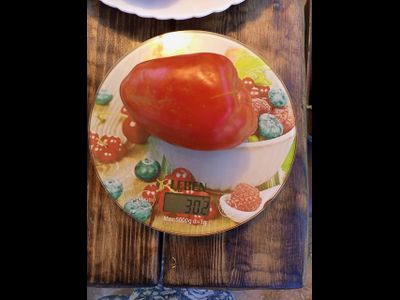 Томат Суперрог Павла (Super Corro di Paolo), Италия