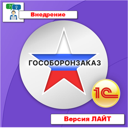 Процесс внедрения подсистемы "Раздельный учет ГОЗ"