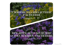 Два руководства: удобрения однолетних растений и вредители и болезни однолетних растений