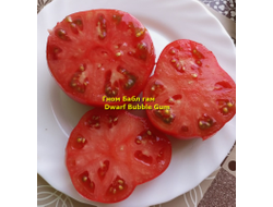 Томат Бубль гам (Жевательная резинка, (Dwarf Bubble Gum) США