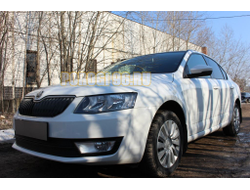 Защита радиатора Skoda Octavia А7 2013-2017 (Ambition,Elegance,Style) (2 части) black PREMIUM