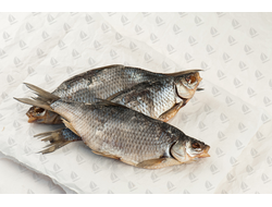 Красноперка рыба