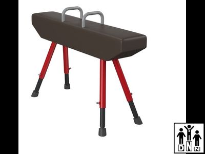 Конь гимнастический маховый