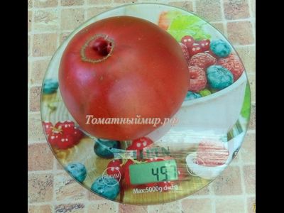 Томат Черный Франкенштейн (Frankenstein Black) США