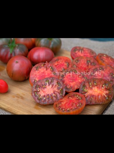 Томат Dwarf PPI (Гном ППИ), 10 шт