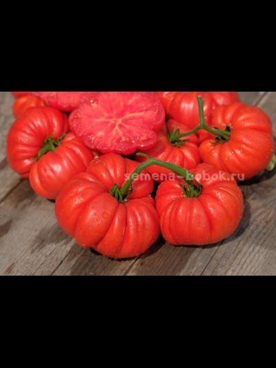 Томат Riccio Di Parma (Кудрявый из Пармы), 10 шт