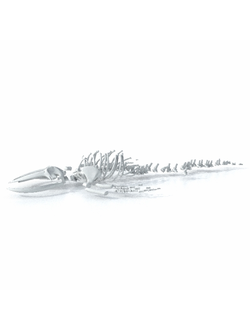 скелеты животных Скелет кита рассыпаный