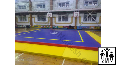 Помост для ушу саньда