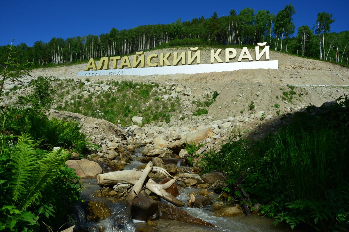 стелла барнаул