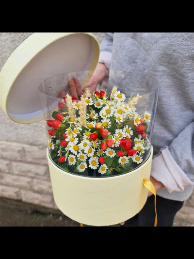 Ромашки с бабочками №92