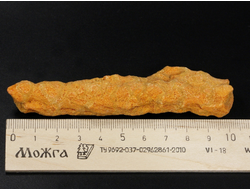 Коралл природный, Индонезия (104*25*18 мм, 26 г) №27543