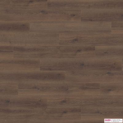 Декор ламината Haro Tritty 100 Дуб Контура Дымчатый 538697 фронт