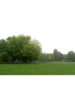 Задний план