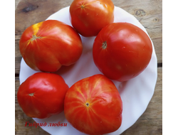 Томат Гибрид любви