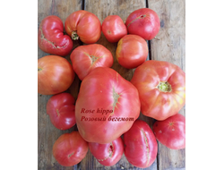 Томат Rose Hippo (Розовый бегемот)