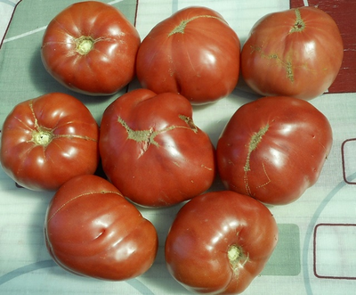 Томат Хелен немецкий (Helen's German)