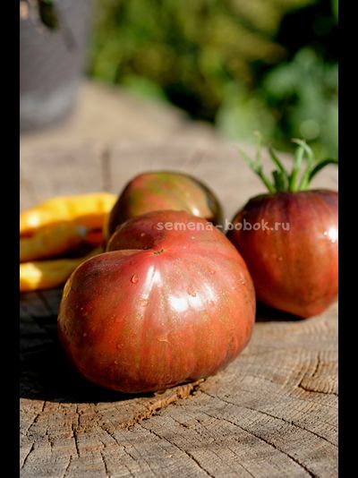 Томат Салют Виктории, 10 шт