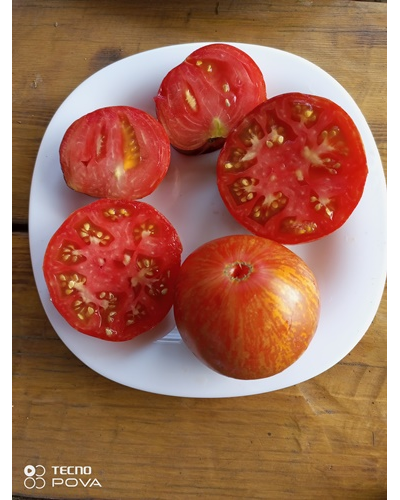 Томат Озарк закат (Ozark sunset), Германия