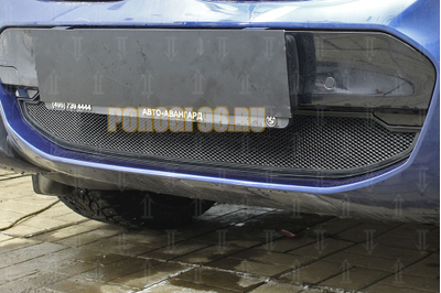 Защита радиатора BMW X3 III (G01) (xDrive AT / xDrive AT M Sport) 2017- black низ