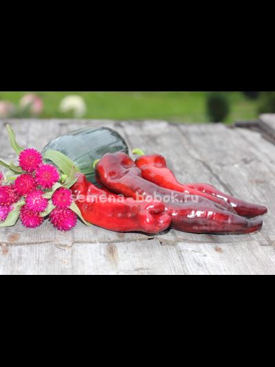 Перец сладкий Marconi Purple (Маркони фиолетовый), 10 шт.