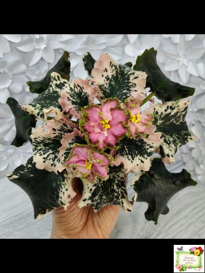 МТ-Пески Времени (М. Тотиева) 2022 г.